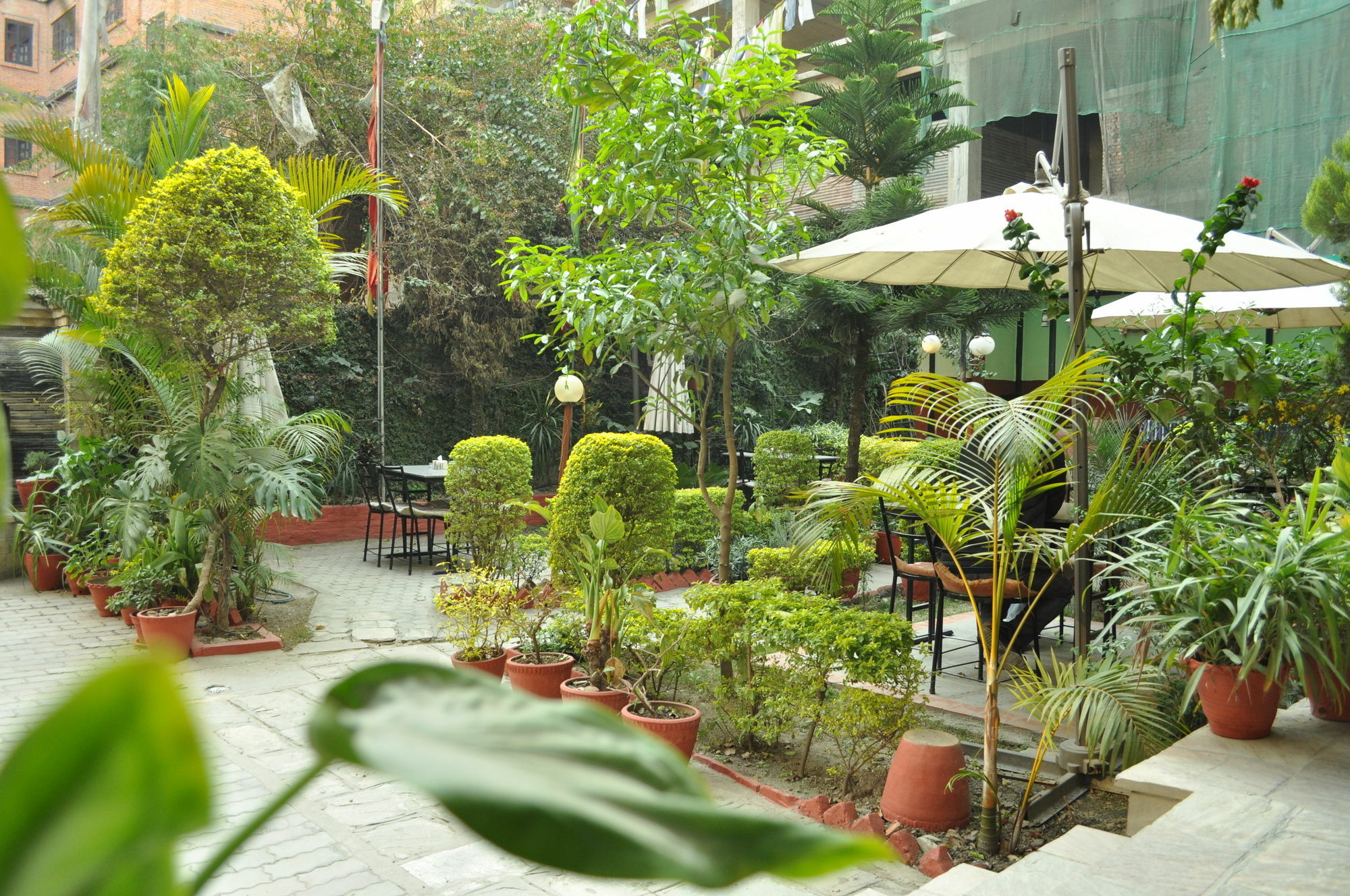 Hotel Florid Катманду Экстерьер фото